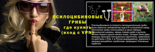 mdpv Михайловск