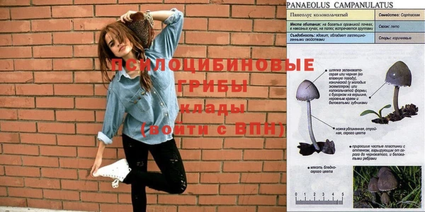 mdpv Михайловск