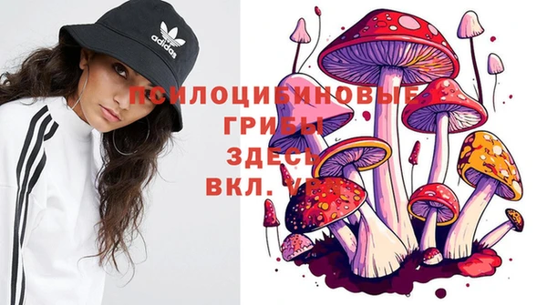 mdpv Михайловск