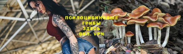 эйфоретик Ладушкин