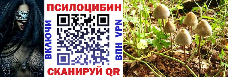 Псилоцибиновые грибы Psilocybe Хадыженск