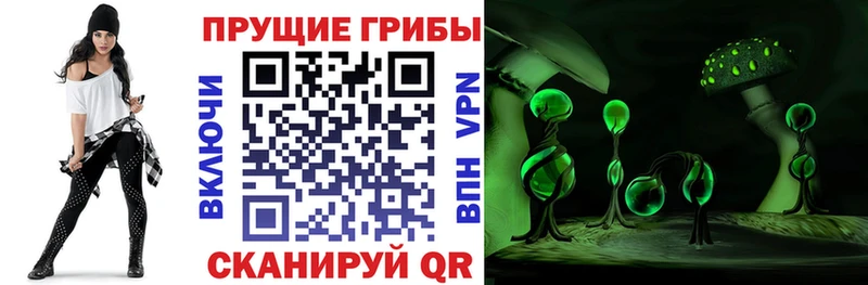 как найти закладки  Хадыженск  Галлюциногенные грибы Cubensis 